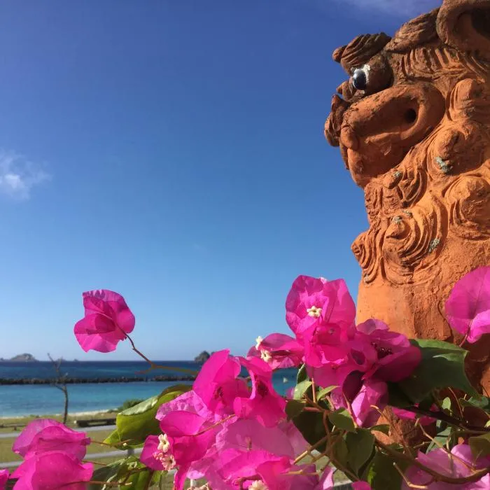 阿嘉島 宝生 民宿スタッフ